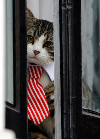 Foto: AP Images.